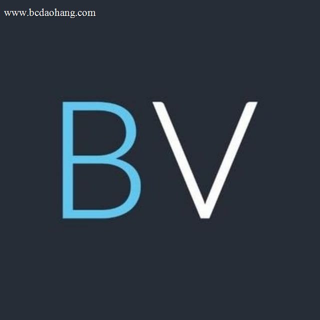 www.bva168.vip